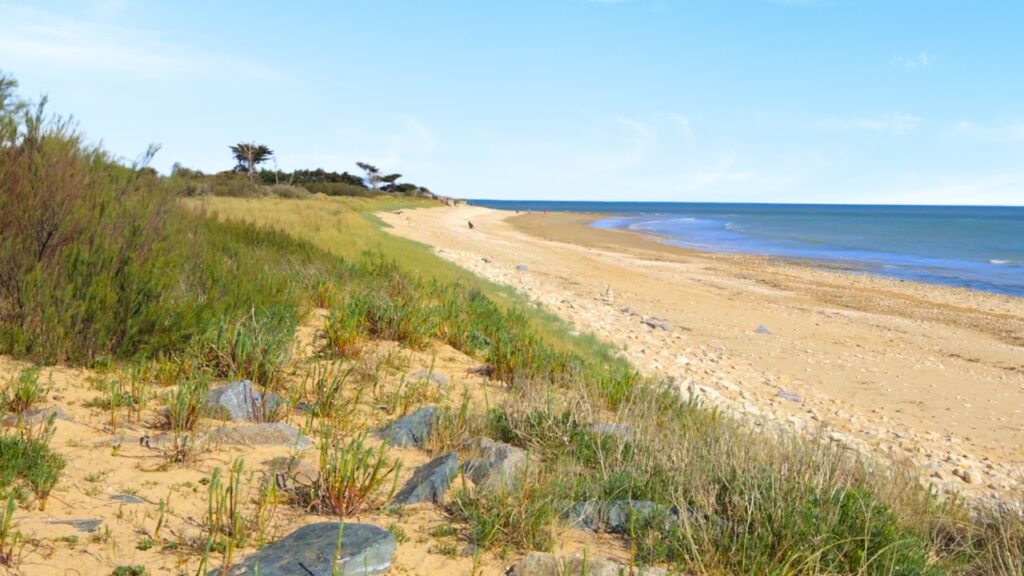 Plage île de Ré