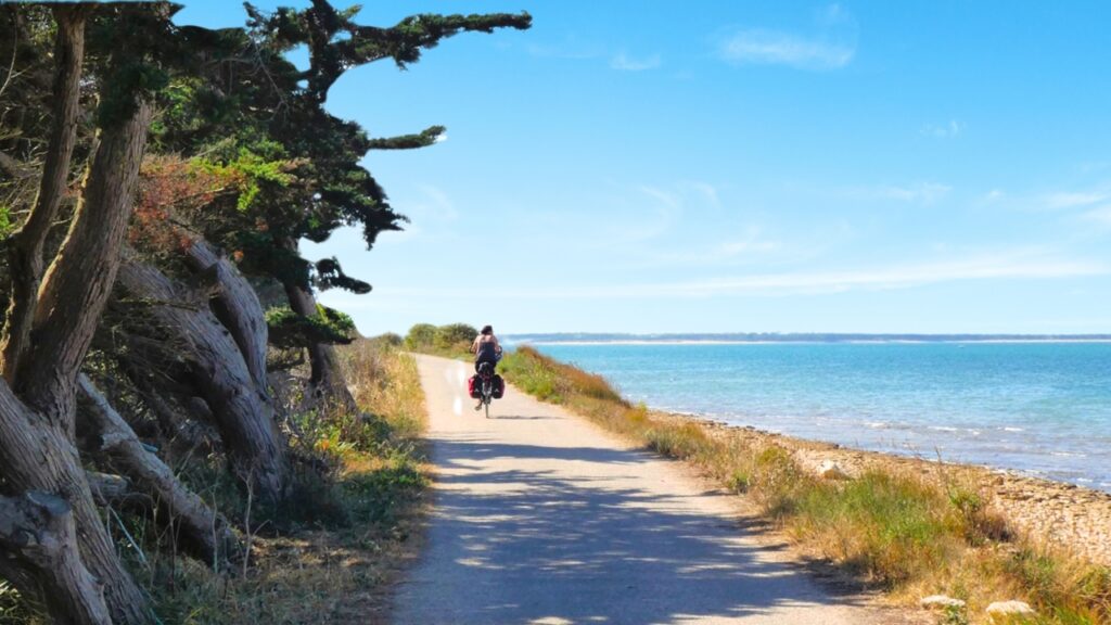 Lîle de Ré à vélo