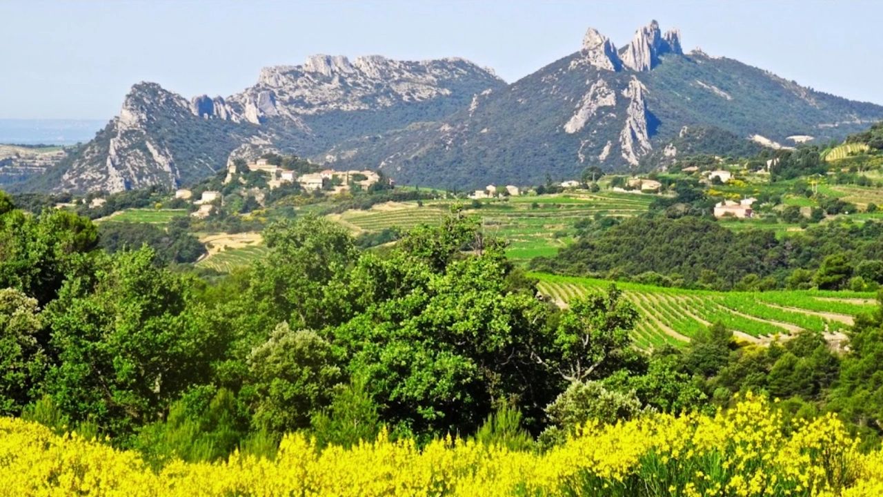 Vélo dentelles de montmirail