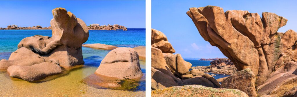 île Renote Côte de Granit Rose - Trégastel