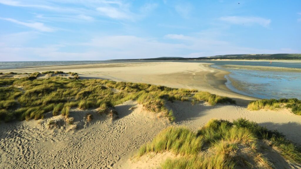 Réserve Naturelle Baie de la Canche sur la Côte d'Opale