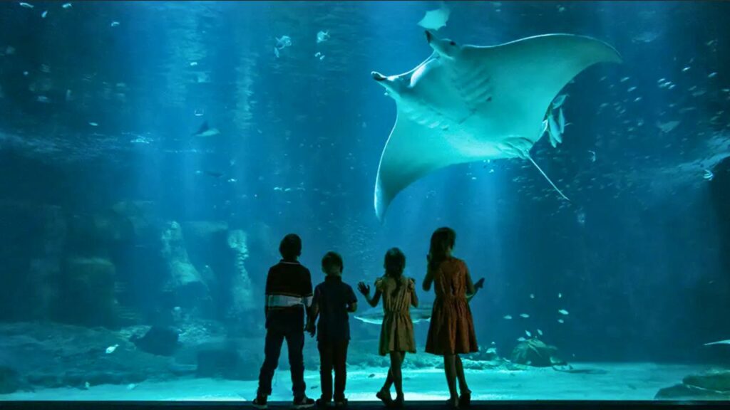 Nausicaá à Boulogne-sur-mer