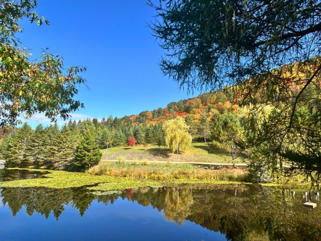 Le lac et couleurs d'automne